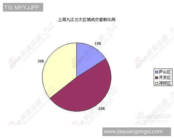 独家解析西安排球队节奏对比及其战术影响分析